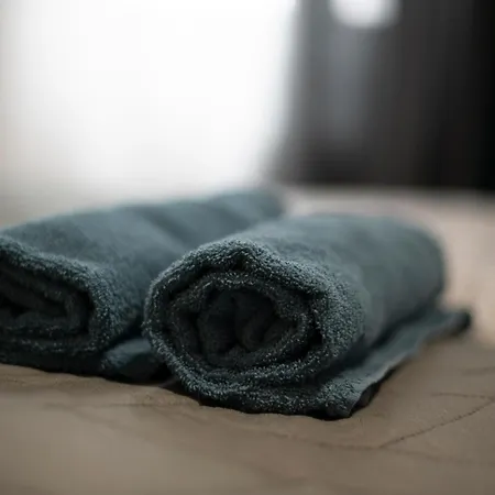 Mega Cool Flat France Suisse Saint-Louis (Haut-Rhin)