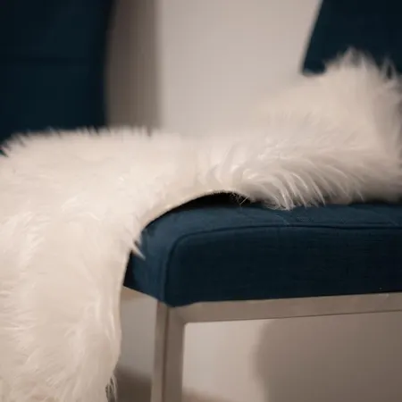 Mega Cool Flat France Suisse * 생루이