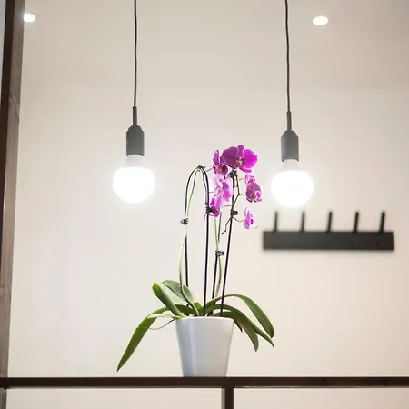 Apartament Mega Cool Flat France Suisse Saint-Louis (Haut-Rhin)