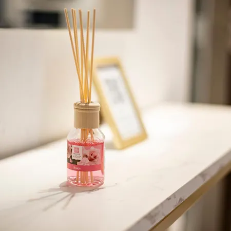 Mega Cool Flat France Suisse 생루이