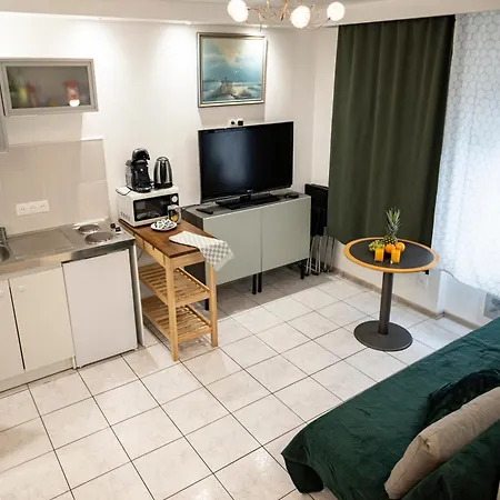 아파트 Mega Cool Flat France Suisse