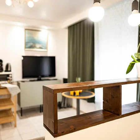Mega Cool Flat France Suisse アパート