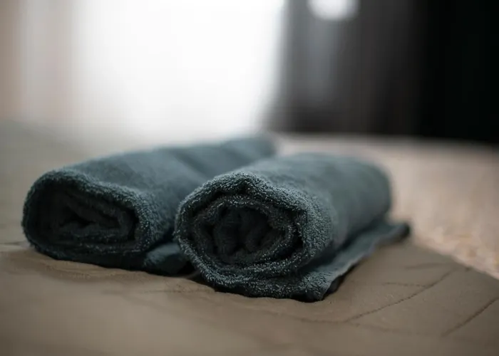 Mega Cool Flat France Suisse Saint-Louis (Haut-Rhin)