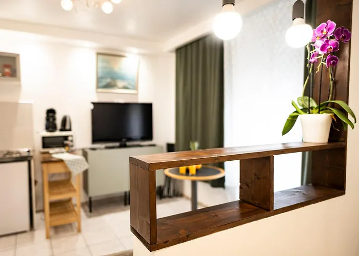 Mega Cool Flat France Suisse شقة