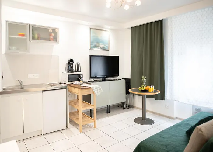 Mega Cool Flat France Suisse Apartamento *